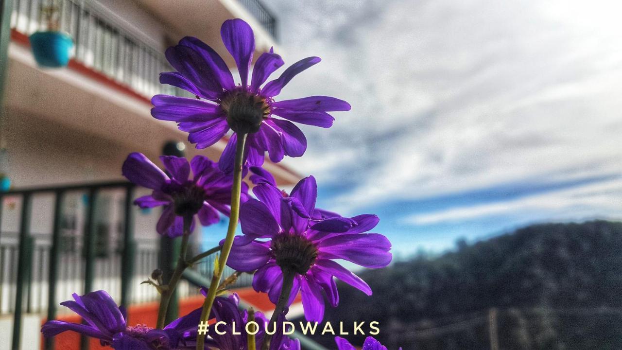 Cloudwalks 코다이카날 외부 사진